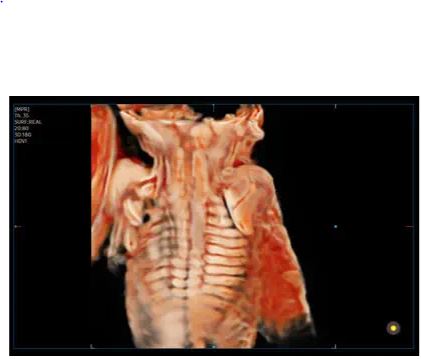 Échographe sur plateforme HERA W10 – Image 16